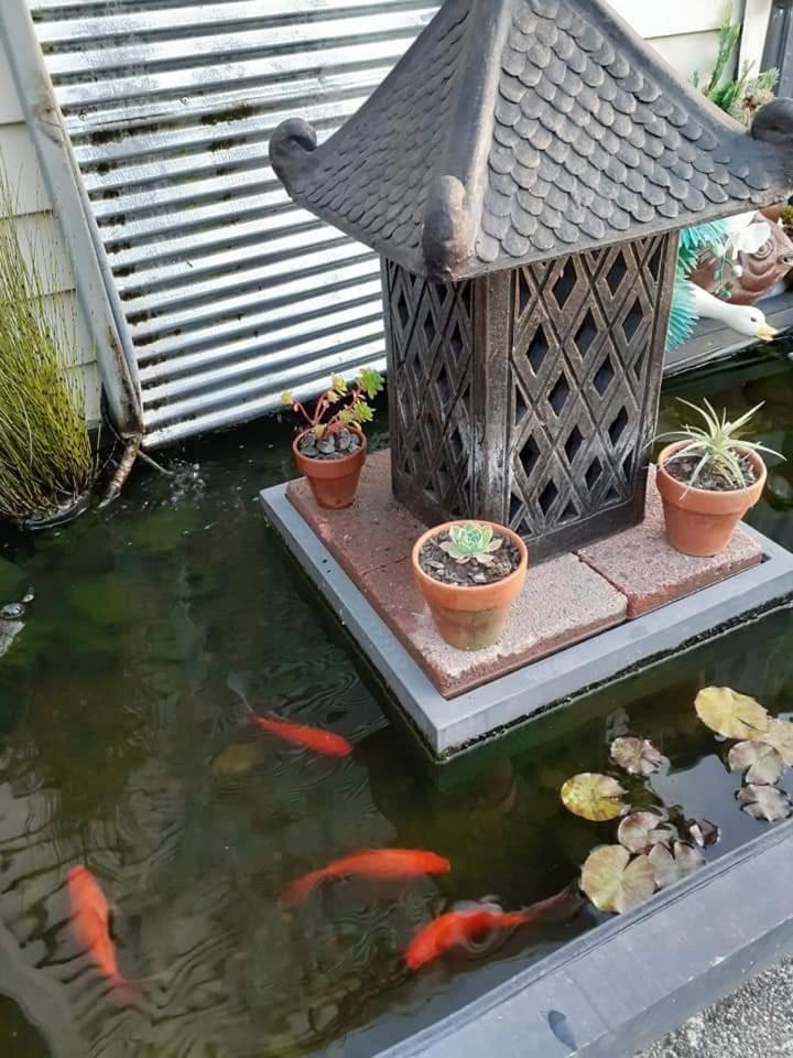 Rooms With A View Haywards ภายนอก รูปภาพ
